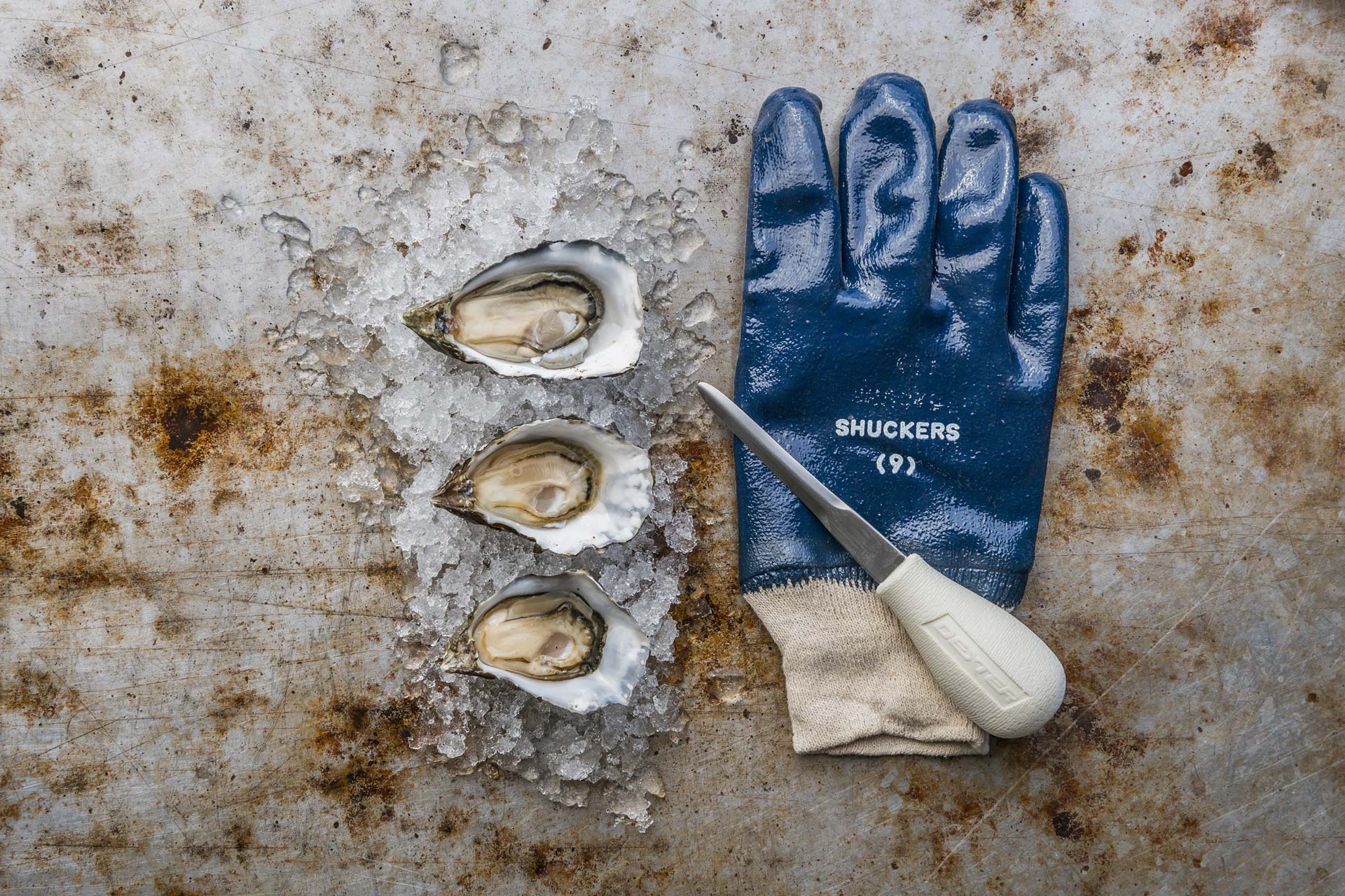 XSM-sweetwater-oysters-knife-glove-100419_0053.jpg
